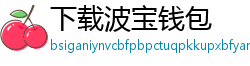 下载波宝钱包